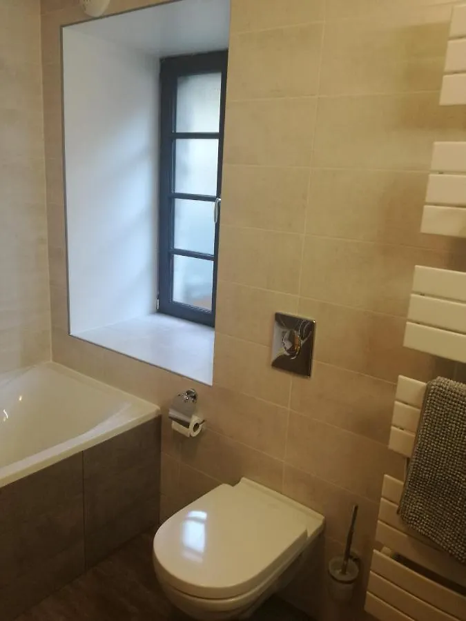 Great House In Center Of Luz St Sauveur Villa Luz-Saint-Sauveur