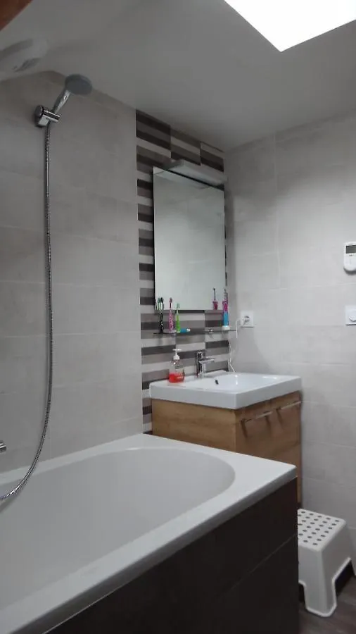 Great House In Center Of Luz St Sauveur Villa Luz-Saint-Sauveur France